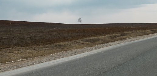 Similar image 6532239