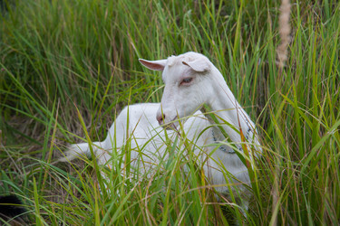 Similar image 6532487