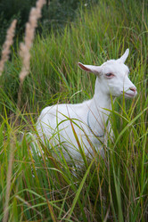 Similar image 6532489