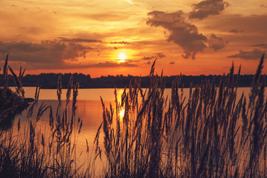 Similar image 6532490