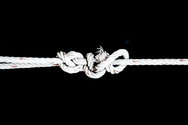 Similar image 6532503