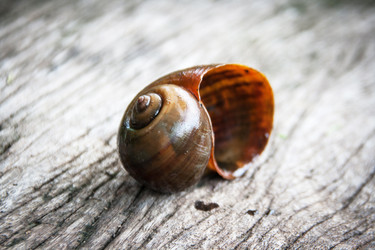 Similar image 6532504