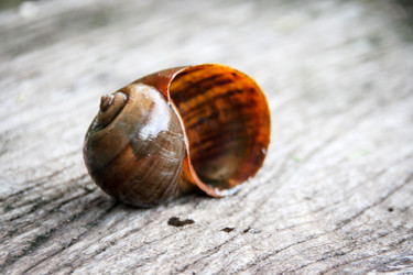 Similar image 6532505