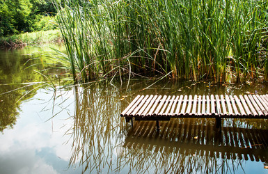 Similar image 6532506