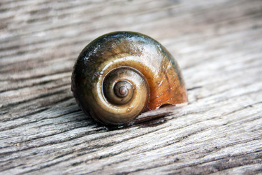 Similar image 6532507