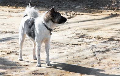 Similar image 6532521