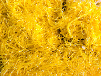 Similar image 6532535