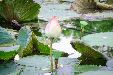 Similar image 6532555