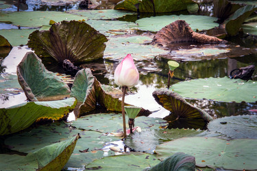 Similar image 6532557