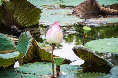 Similar image 6532562