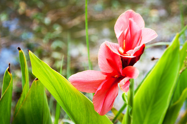 Similar image 6532563