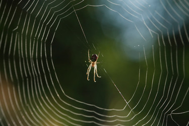 Similar image 6532566