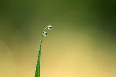 Similar image 6532571