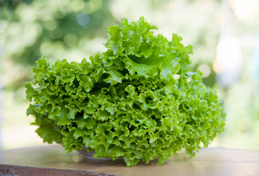 Similar image 6532581