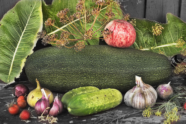 Similar image 6532731