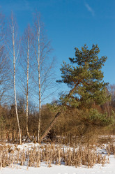 Similar image 6532736