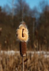 Similar image 6532737