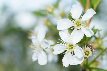 Similar image 6532738