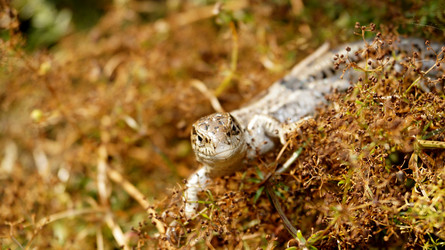 Similar image 6532740