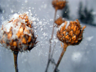 Similar image 6532759