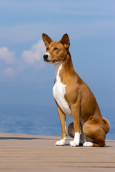 Similar image 6532789