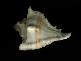 Similar image 6532813