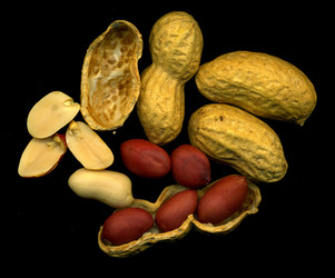 Similar image 6532814