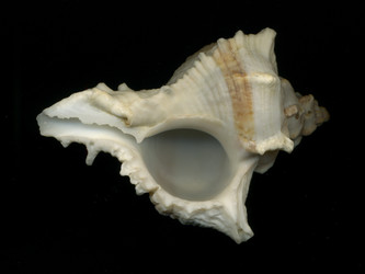 Similar image 6532815