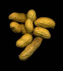 Similar image 6532816