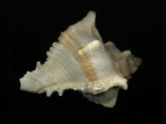 Similar image 6532819