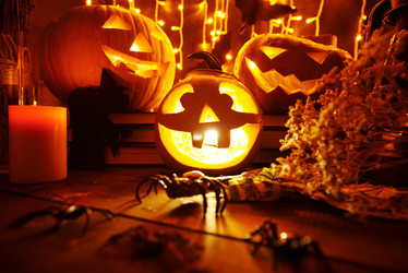 Similar image 6533054