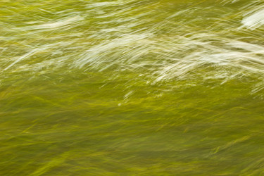 Similar image 6533173