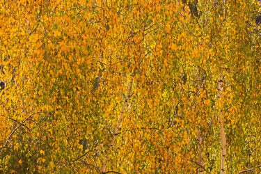 Similar image 6533174