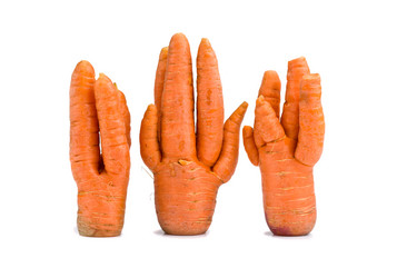 Similar image 6533175