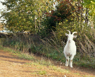 Similar image 6533176