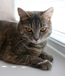 Similar image 6555671