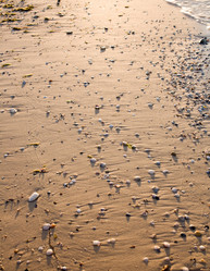 Similar image 6555672