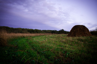 Similar image 6555678