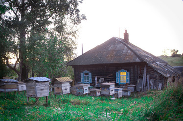 Similar image 6555679