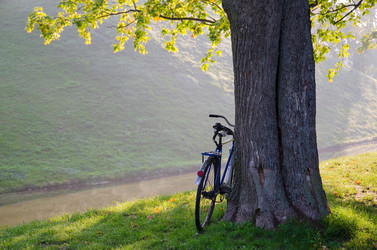 Similar image 6555687