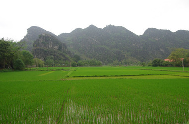 Similar image 6555691