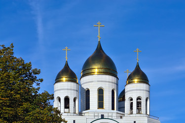 Similar image 6555707