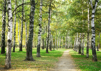 Similar image 6555731