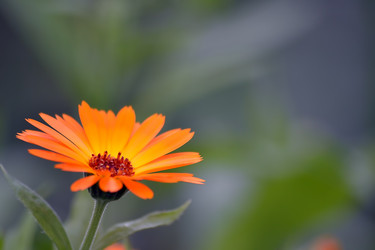 Similar image 6555746