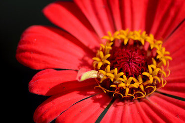 Similar image 6555747