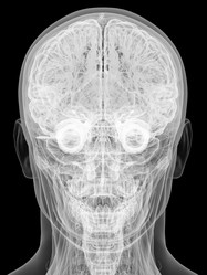 Similar image 6555754