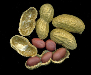 Similar image 6555769