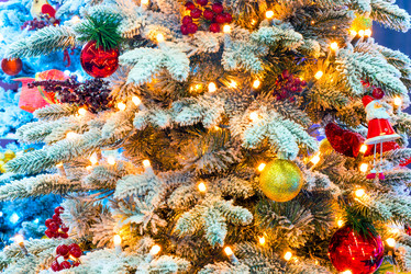 Similar image 6555825