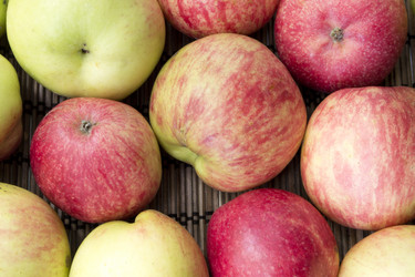 Similar image 6555879