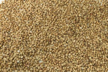 Similar image 6555885